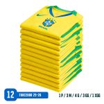 Grade Amarela Torcedor Titular 25-26 (12)